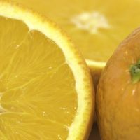 Profile picture for user SvitlanaPetruk