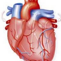 Ricardo Acuña Ibarra