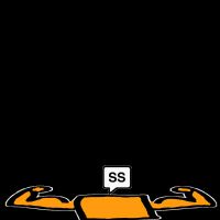 Рогожкина Юлия Сергеевна