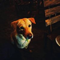 Profile picture for user SaturDome