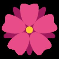 Profile picture for user munawarohamel2005