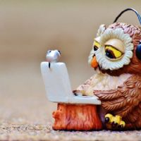 Profile picture for user geosworksheets