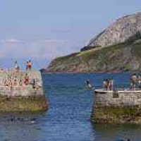 Profile picture for user aranleza