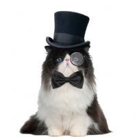 Profile picture for user JorCosVi