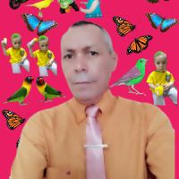 José Gomes da Silva