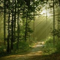 Profile picture for user mvictoriasuarez