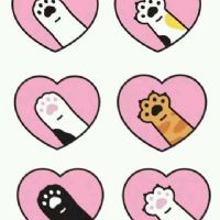 Profile picture for user infanciacristorey