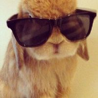 Profile picture for user MlleAstridCastro