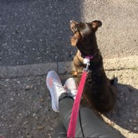 Profile picture for user Celiaarroyo