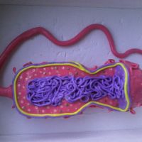 Profile picture for user JuanmaPena