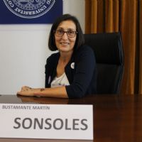 Sonsoles Bustamante Martín