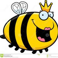 Profile picture for user bigbeec