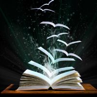 Profile picture for user Olga_Shnitkina