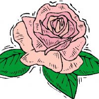 Profile picture for user kristine44