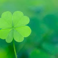 Profile picture for user PhamThanhHien