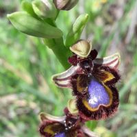 Profile picture for user maiteholgado