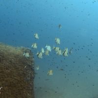 Profile picture for user Pilarcica21