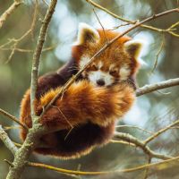 Profile picture for user X211802