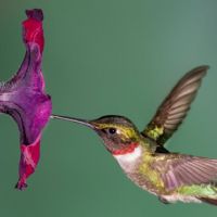 Profile picture for user tecnodidacta