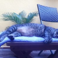 Profile picture for user MariaJoe