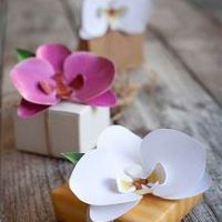 Profile picture for user Teacher1231111111