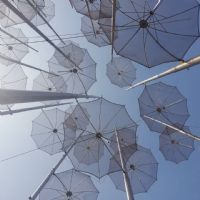 ΖΩΗ ΤΑΣΟΜΗΝΟΠΟΥΛΟΥ