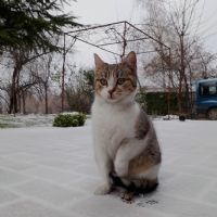 Profile picture for user DushankaJosheva