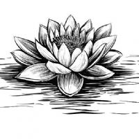 Profile picture for user PhiThiKhoa