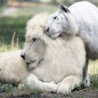 Profile picture for user 1130