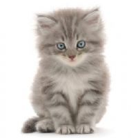 Profile picture for user marinakene2010