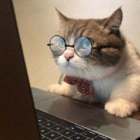 Profile picture for user stasia101