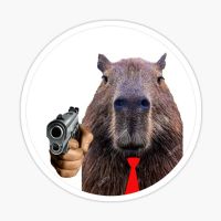 Profile picture for user SiuuuCR7