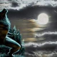 Profile picture for user Lobishome_Romasanta