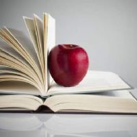 Profile picture for user Larysa_Ruzhytska