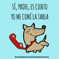 Profile picture for user profececiliaicj