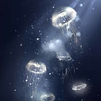 Profile picture for user hirunihiti