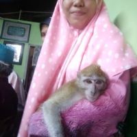 PUTERI NUR FASIHAH BINTI ANUAR IDRIS