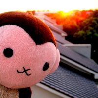 Profile picture for user kuro0720