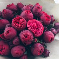 Profile picture for user okrusir