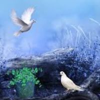 Profile picture for user anbusri