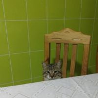 Profile picture for user Snowhite9