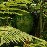 Jesus Oliver-Bonjoch