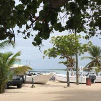 Profile picture for user Rach0027