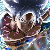 Elvin de Jesús Pérez Rivera