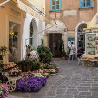 Profile picture for user profe_luca