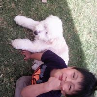 MIREYA BONILLA CALAPI