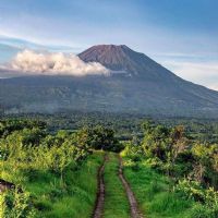 Profile picture for user Alfonsolenca