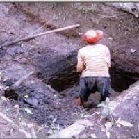 Profile picture for user JOEY_GUNA