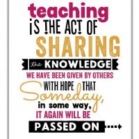 Profile picture for user Amaliaguirre