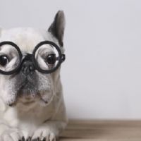 Profile picture for user MadameBurke